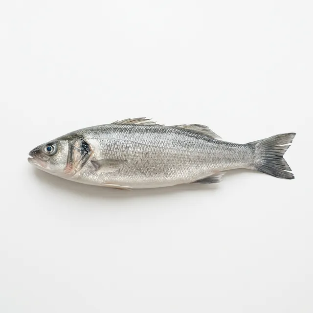 Fish